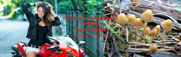 соль курить ск Абаза