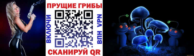 блэк спрут сайт  Нариманов  Галлюциногенные грибы Psilocybine cubensis 